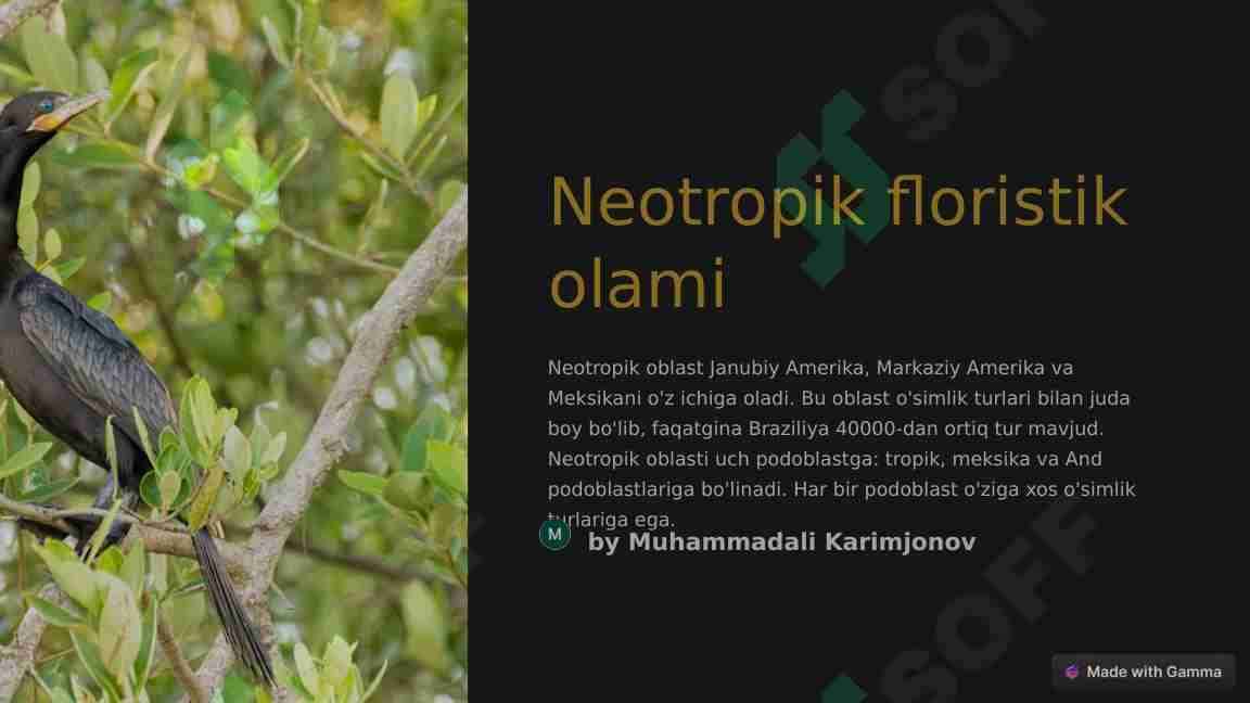 Neotropik floristik olami