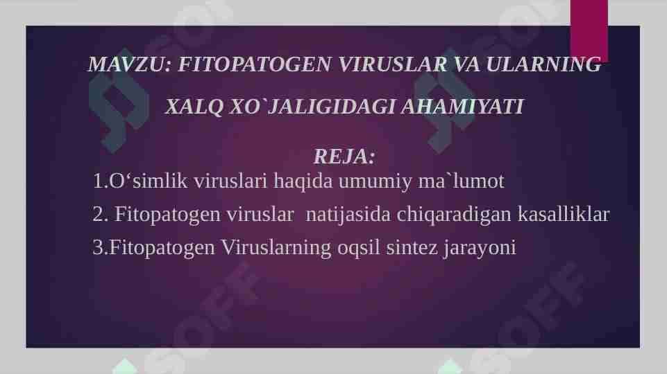Fitopatogen viruslar va ularning xalq xo`jaligidagi ahamiyati