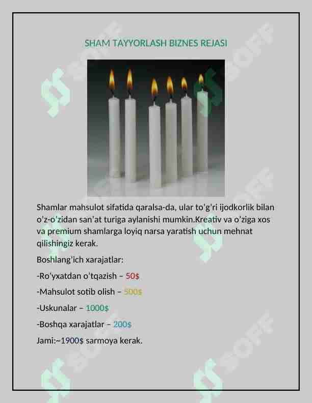 SHAM TAYYORLASH BIZNES REJASI