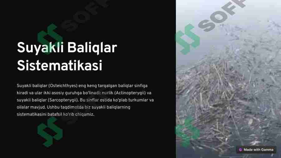 Suyakli Baliqlar Sistematikasi