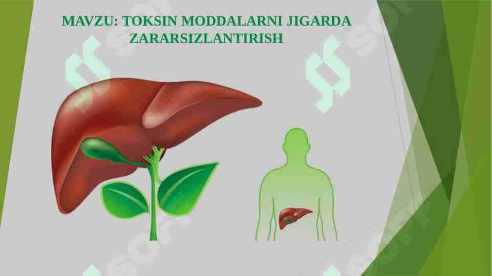 TOKSIN MODDALARNI JIGARDA ZARARSIZLANTIRISH