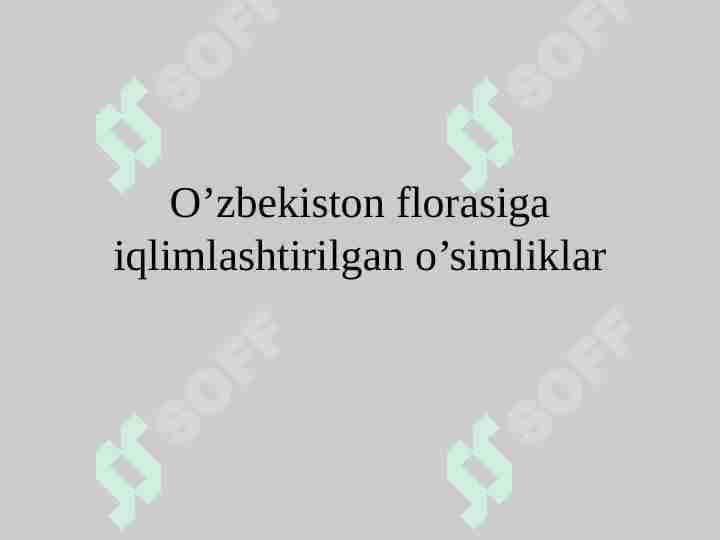 O’zbekiston florasiga iqlimlashtirilgan o’simliklar