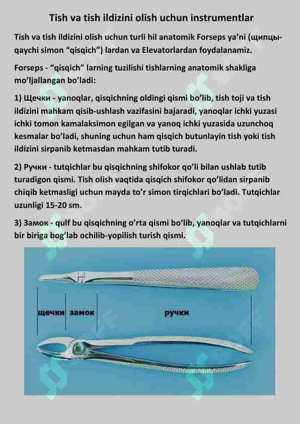 Tish va tish ildizini olish uchun instrumentlar