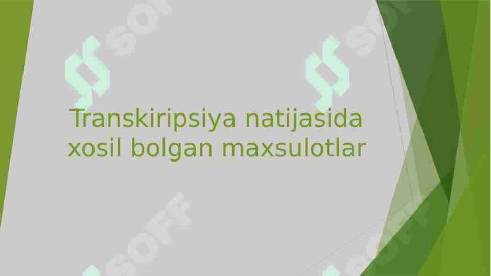 Transkiripsiya natijasida xosil bolgan maxsulotlar