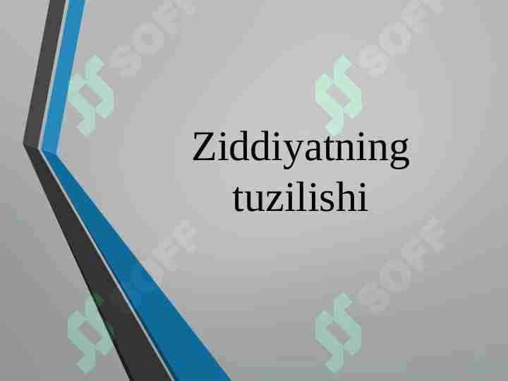 Ziddiyatning tuzilishi