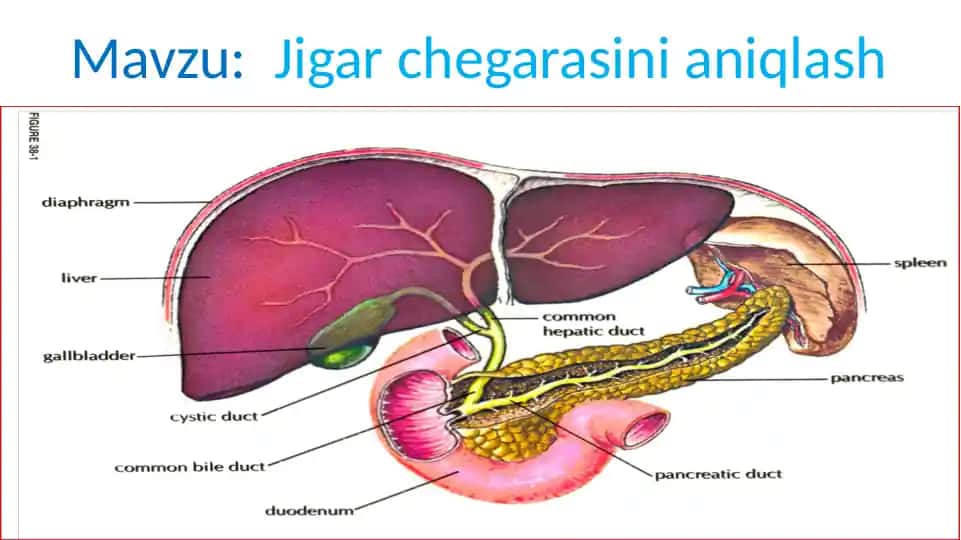 Jigarchegarasinianiqlash