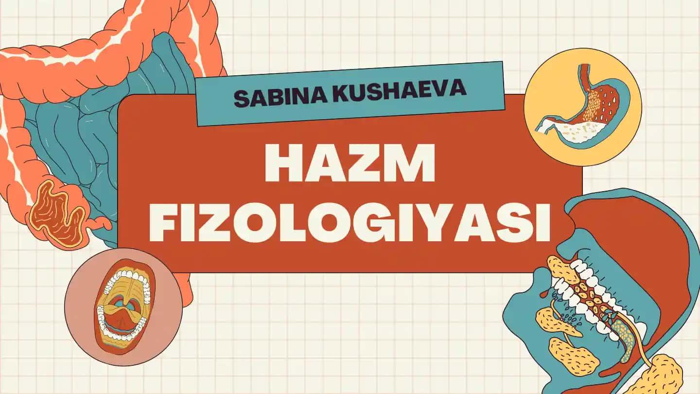 HAZM FIZOLOGIYASI