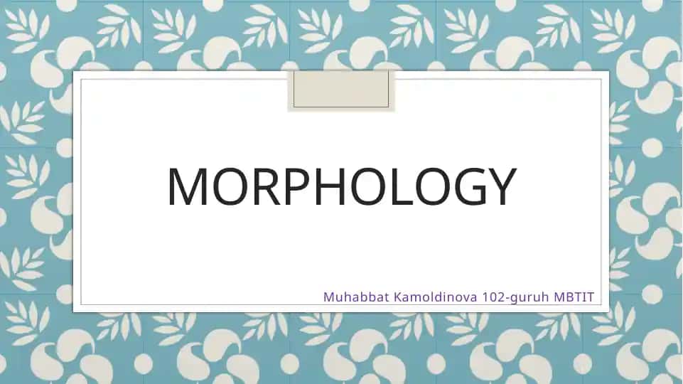 Morphology