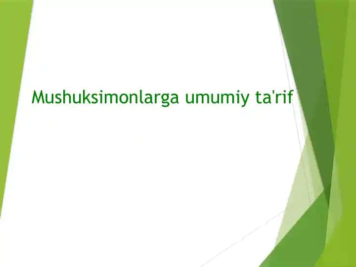 Mushuksimonlarga umumiy ta'rif