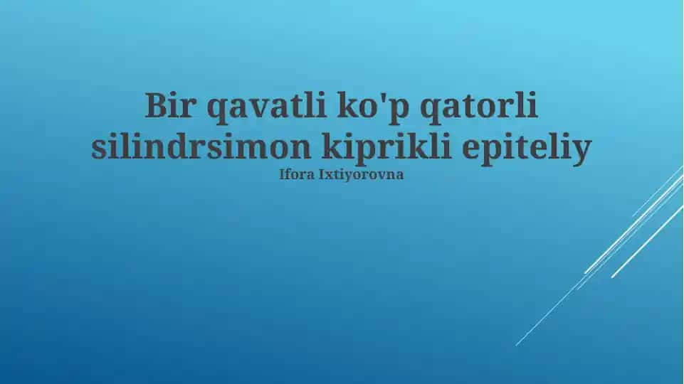 Silindrsimon Kiliar Epiteliyning Umumiy Tasviri
