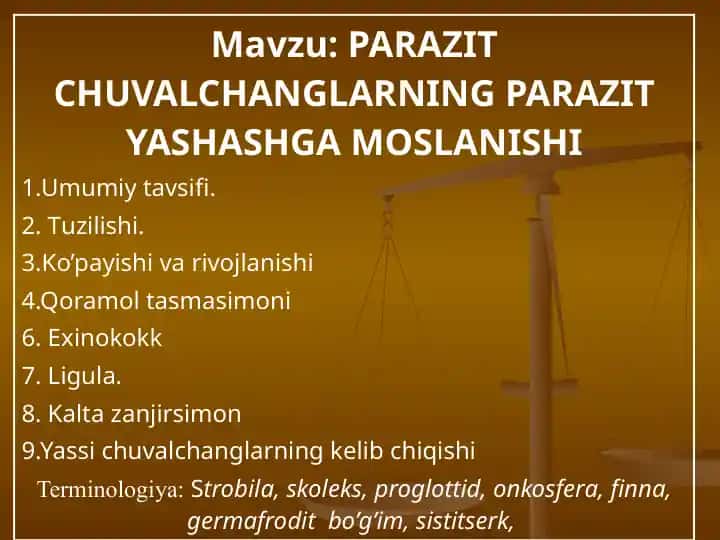 Tasmasimon chuvalchanglar
