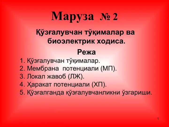Маруза№2