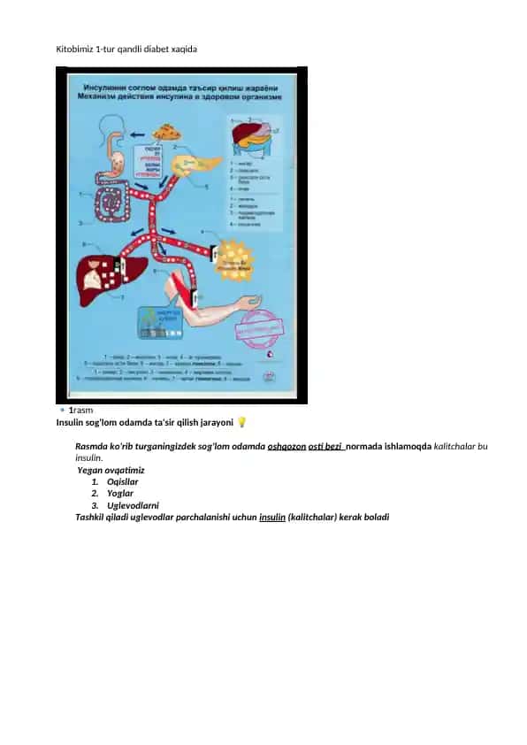 Qandli Diabet 1-tur
