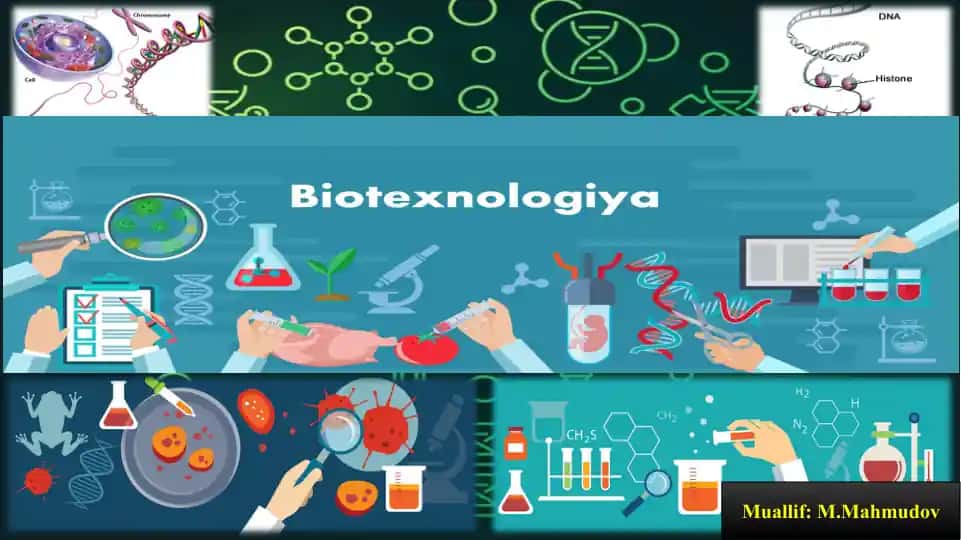 Vector Molecular Biology round green