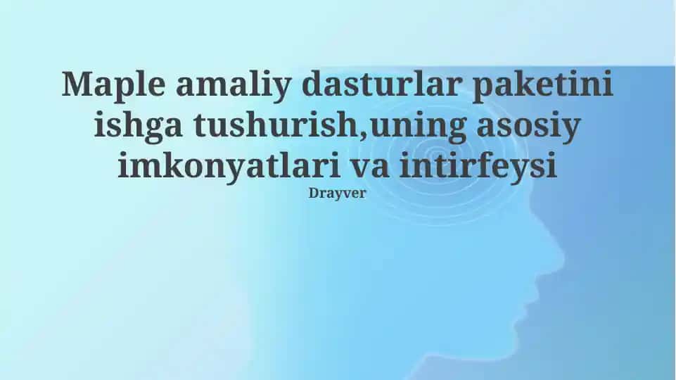 Maple Dasturiy Ta'minot