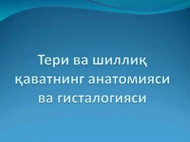 Тери-Инсон Танасини Қоплаб Турувчи аъзо