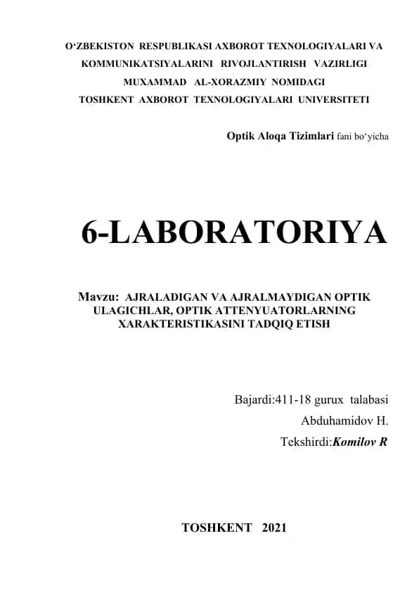 Optik ulagichlar