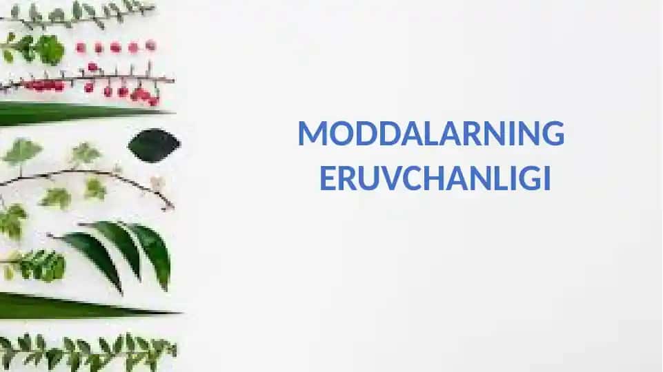Moddalar Eruvchanligi