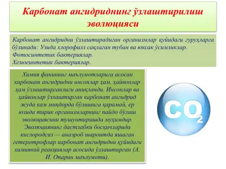 Карбонат ангидриднинг ўзлаштирилиш эволюцияси
