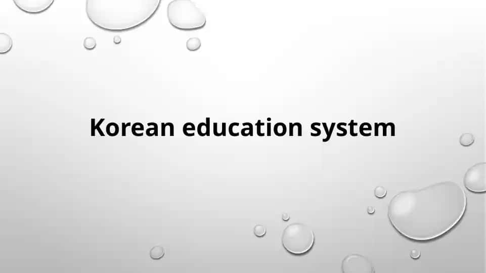 Korean education system
