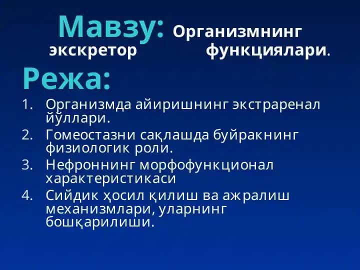 Организмнинг экскретор функциялари