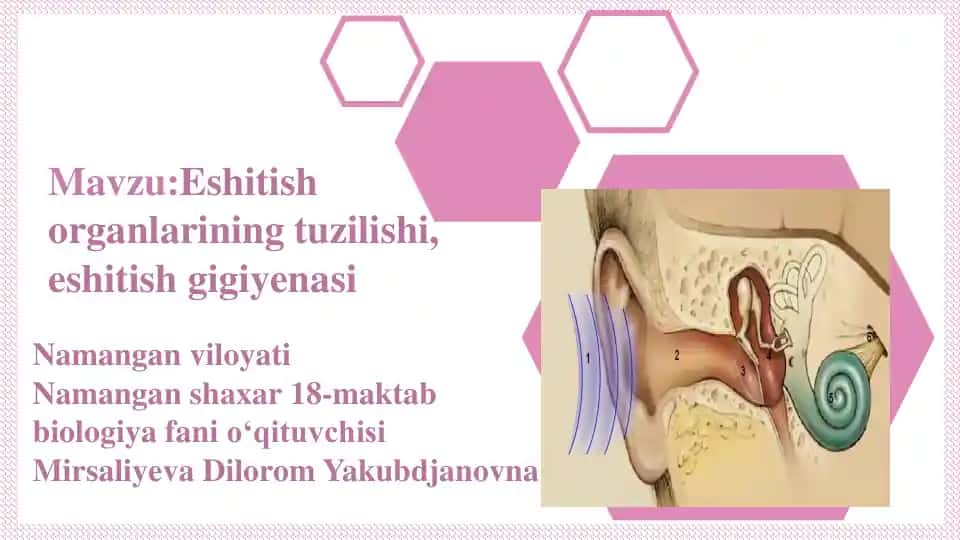 Eshitish organlarining tuzilishi, eshitish gigiyenasi