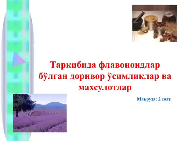 Флавоноидлар сақловчи доривор ўсимлик ва махсулотлар