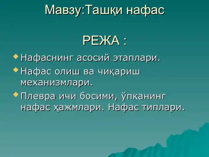 Ташқи нафас