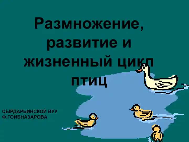 Размножение, развитие и жизненный цикл птиц
