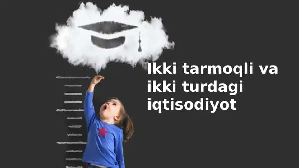 Ikkilamchi sektor va ikkilamchi turdagi iqtisodiyot