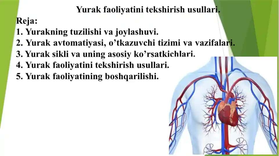 Yurak faoliyatini tekshirish usullari.
