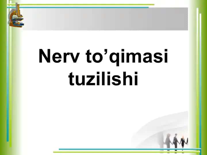 Nerv to’qimasi tuzilishi