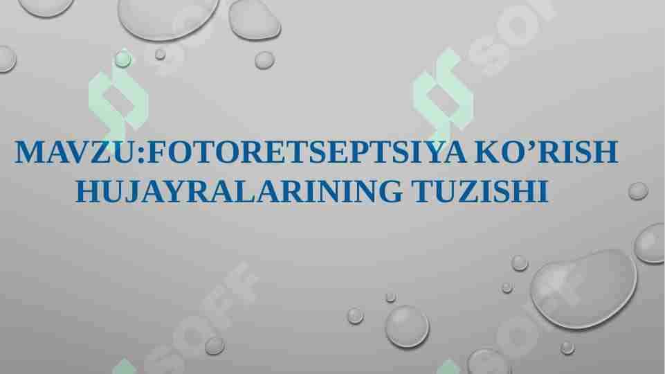 FOTORETSEPTSIYA KO’RISH HUJAYRALARINING TUZISHI
