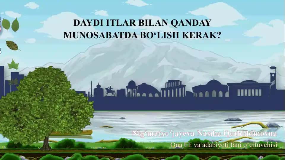 Daydi itlar bilan qanday munosabatda bo‘lish kerak?