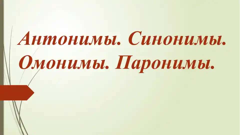 Антонимы. Синонимы. Омонимы. Паронимы