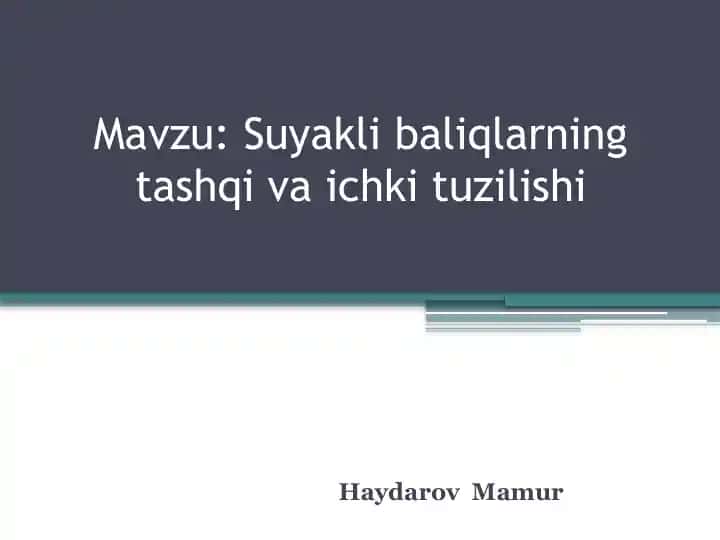 Suyaklibaliqlarning tashqiva ichki tuzilishi