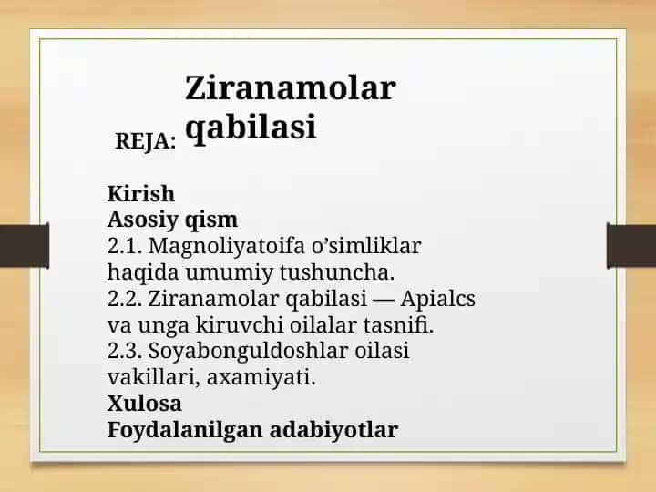 Zirnamo va Bongul doshlar oilasi va ularning vakillari
