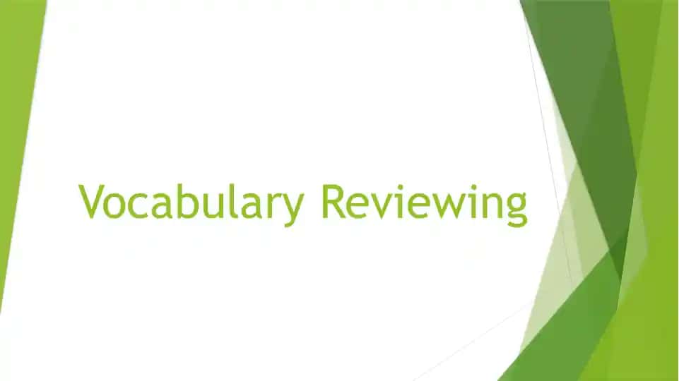 Vocabulary Reviewing