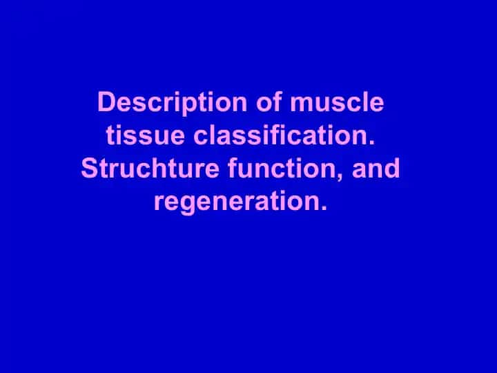 Muscle tissue classification