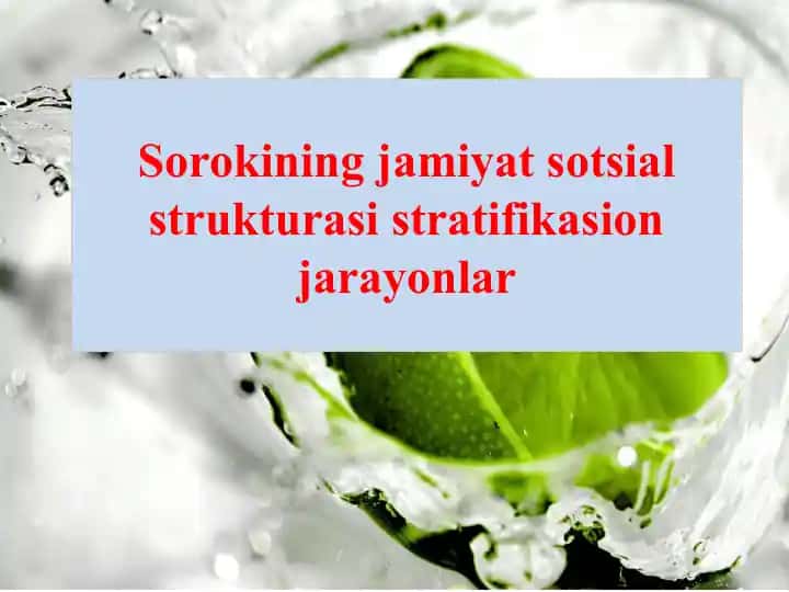 Sorokining jamiyat sotsial strukturasi stratifikasion jarayonlar