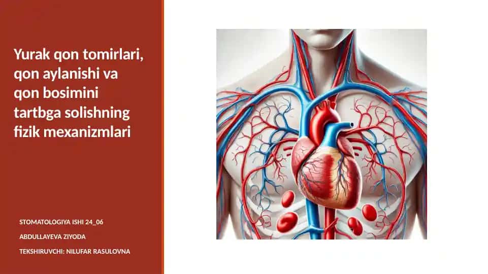 Yurakqontomirlari, qonaylanish va qon bosimi maydoni tartibgasolishning fizik mexanizmlari