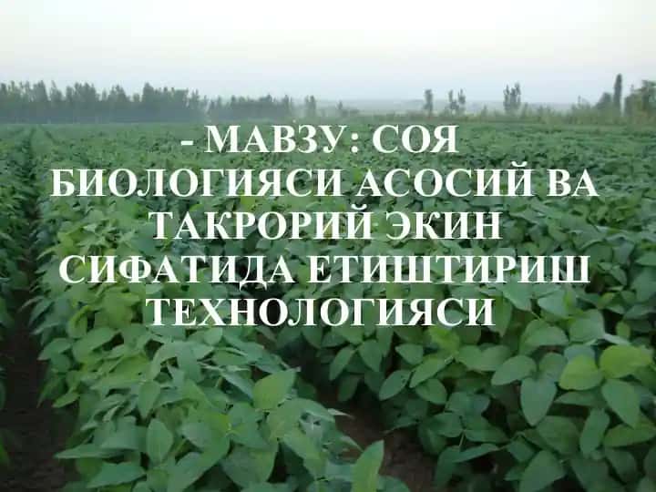 Soya biologiyasi asosiy va takroriy ekkin sifatida etishtirish texnologiyasi