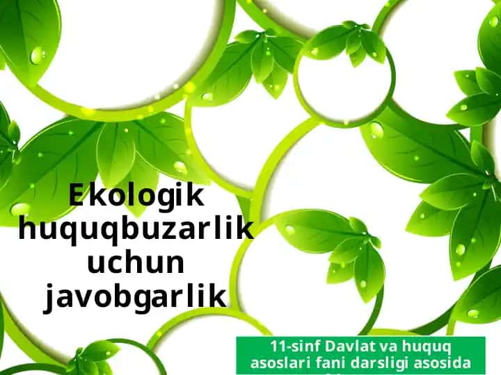 Ekologik huquqbuzarlik