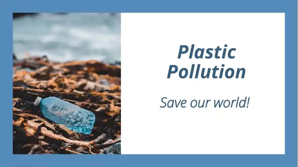 Plastic Pollution