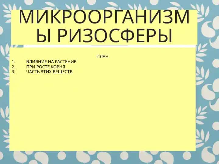 МИКРООРГАНИЗМЫ РИЗОСФЕРЫ