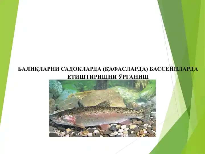 Электрон почта
