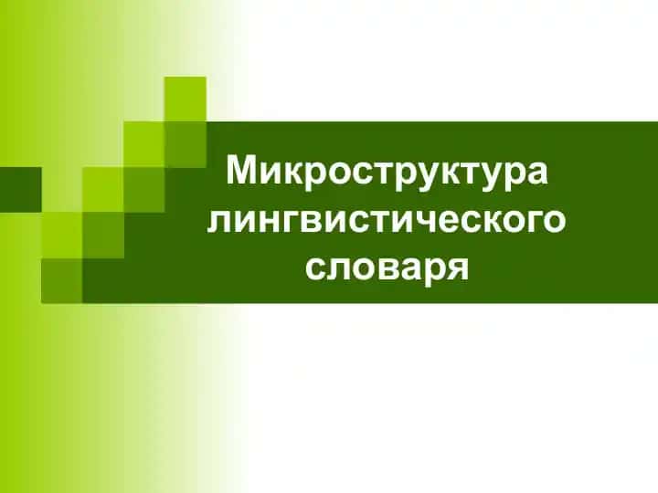 Микроструктура лингвистического словаря