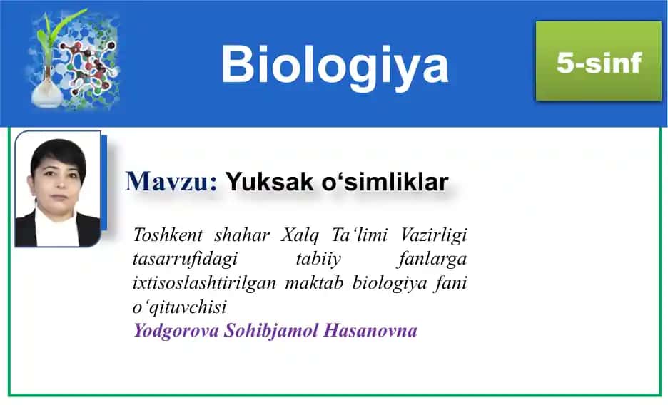 Yuksak o‘simliklar