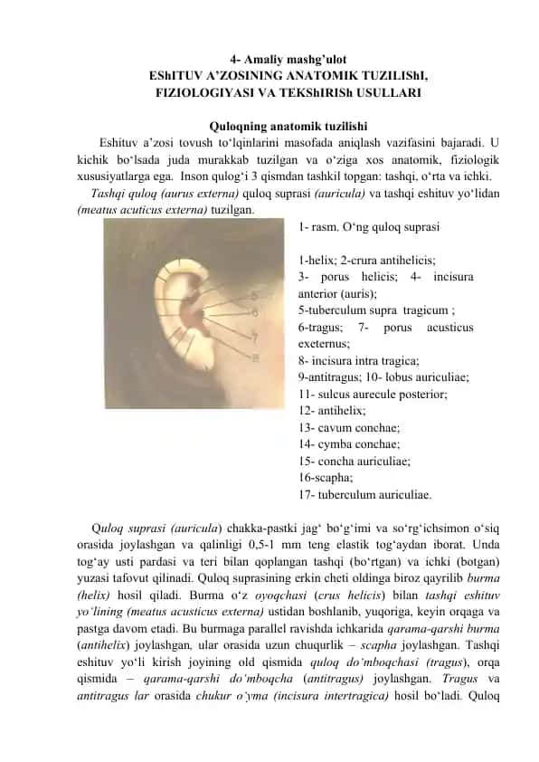 Eshituv a’zosining anatomik tuzilishi, fiziologiyasi va tekshirish usullari