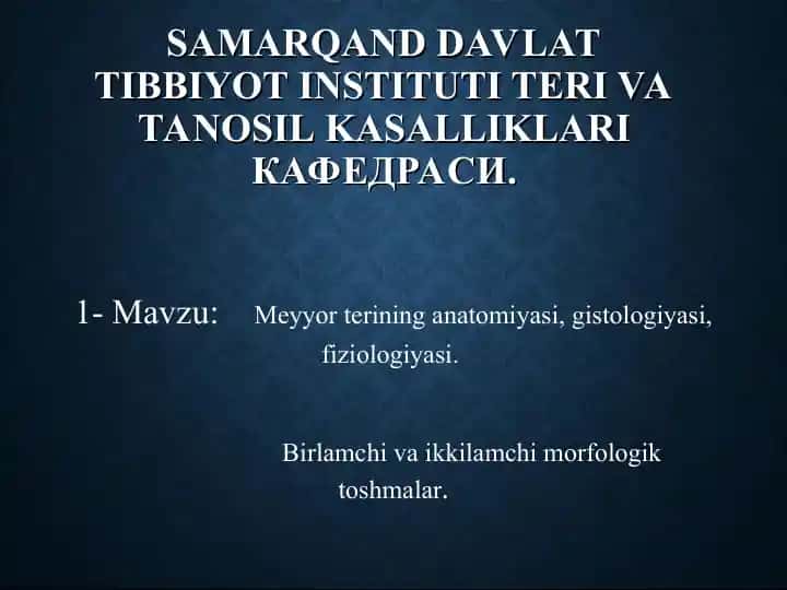 Meyyor teri anatomiyasi